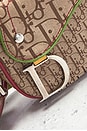view 5 of 8 Dior Rasta Trotter Double Saddle Bag in Beige
