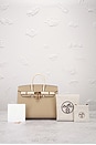 view 7 of 7 Hermes Epsom Birkin 25 Sellier Handbag in Trench & Nata
