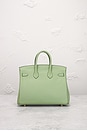 view 3 of 8 Hermes Veau Swift Birkin 25 Le Tournay Handbag in Vale Cricket
