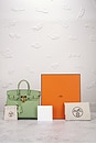 view 8 of 8 Hermes Veau Swift Birkin 25 Le Tournay Handbag in Vale Cricket