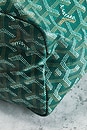 view 9 of 9 Goyard Saint Louis PM Tote Bag in Green