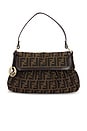 view 1 of 8 SAC FENDI in Brown