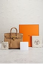 view 9 of 9 Bolsa Hermès Togo Birkin 25 in Chai