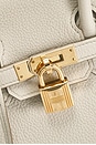 view 5 of 10 Hermes Togo Birkin 25 Handbag in Beton