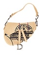 view 1 of 9 Dior Limited Edition Raffia Saddle Bag in Beige