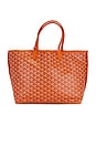 view 1 of 10 BOLSO GOYARD in Orange