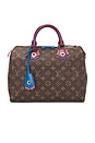 view 1 of 9 Louis Vuitton Monogram Totem Speedy 30 Handbag in Brown