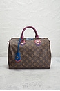 view 2 of 9 Louis Vuitton Monogram Totem Speedy 30 Handbag in Brown