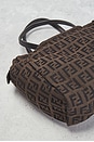 view 9 of 9 SAC FENDI in Brown