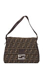 view 1 of 9 SAC FENDI in Brown