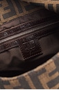 view 6 of 10 SAC FENDI in Brown