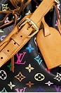 view 5 of 8 SAC LOUIS VUITTON in Multi