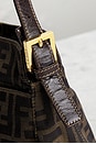 view 8 of 8 BOLSO FENDI in Brown