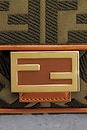 view 6 of 8 SAC FENDI in Brown