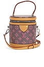 view 1 of 9 BOLSO LOUIS VUITTON in Brown