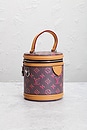 view 4 of 9 BOLSO LOUIS VUITTON in Brown
