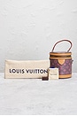 view 9 of 9 BOLSO LOUIS VUITTON in Brown