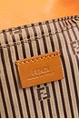 view 5 of 9 Fendi Fendista Pochette Crossbody Bag in Orange