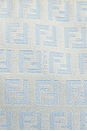 view 6 of 8 SAC FENDI in Blue