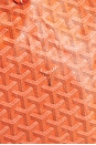view 5 of 10 SAC GOYARD in Orange