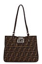 view 1 of 9 SAC FENDI in Brown