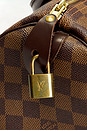 view 6 of 10 SAC LOUIS VUITTON in Brown