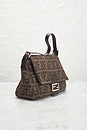 view 4 of 10 SAC FENDI in Brown
