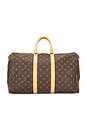 view 1 of 10 SAC LOUIS VUITTON in Brown