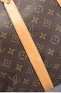 view 7 of 10 SAC LOUIS VUITTON in Brown