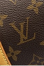 view 9 of 9 BOLSO LOUIS VUITTON in Brown