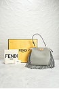 view 10 of 10 BOLSO FENDI in Grey