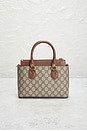 view 3 of 10 BOLSO GUCCI in Beige