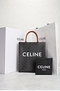 view 7 of 7 BOLSO CELINE in Brown