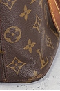 view 9 of 9 BOLSO LOUIS VUITTON in Brown