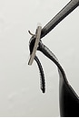 view 8 of 8 BOLSO GUCCI in Black