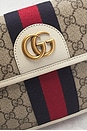 view 5 of 10 RIÑONERA GUCCI in Beige