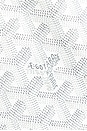 view 6 of 9 FOURRE-TOUT GOYARD in White