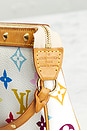view 6 of 8 BOLSA LOUIS VUITTON in Multicolor