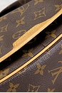 view 8 of 8 BOLSO HOMBRO LOUIS VUITTON in Brown
