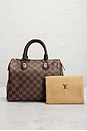view 9 of 9 BOLSO LOUIS VUITTON in Brown