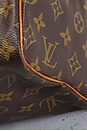 view 9 of 10 Louis Vuitton Monogram Speedy 30 Handbag in Brown