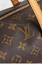 view 8 of 8 BOLSO LOUIS VUITTON in Brown