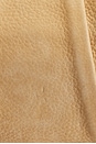 view 8 of 9 SAC FENDI in Neutral
