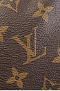 view 8 of 8 SAC LOUIS VUITTON in Brown