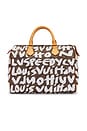 view 1 of 9 SAC LOUIS VUITTON in Brown