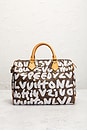 view 3 of 9 SAC LOUIS VUITTON in Brown