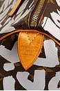 view 6 of 9 SAC LOUIS VUITTON in Brown