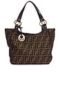 view 1 of 8 SAC FENDI in Brown