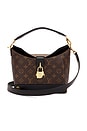 view 1 of 9 SAC LOUIS VUITTON in Brown