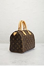 view 4 of 9 SAC LOUIS VUITTON in Brown